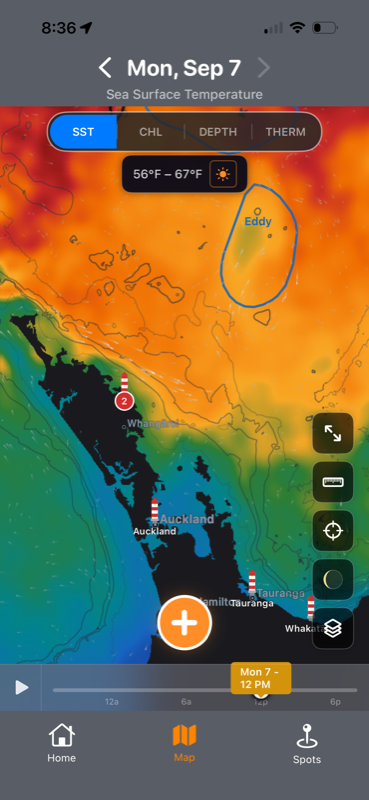 The SeaLegs AI ocean map showing sea-surface temperature off Northland