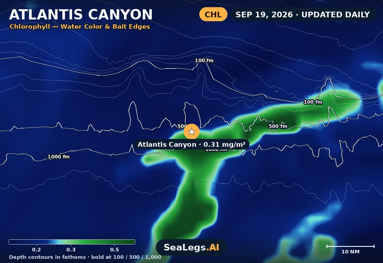 Atlantis Canyon chlorophyll chart, Sep 19, 2026 — water color and bait edges