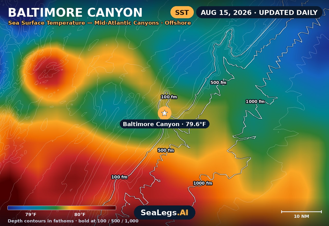 Baltimore Canyon sea surface temperature chart, Aug 15, 2026 — 79.6°F at the spot with labeled depth contours