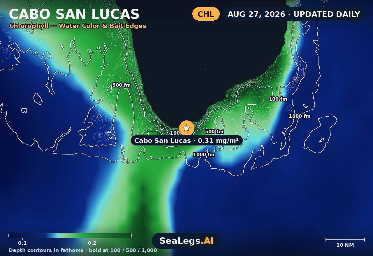 Cabo San Lucas chlorophyll chart, Aug 27, 2026 — water color and bait edges