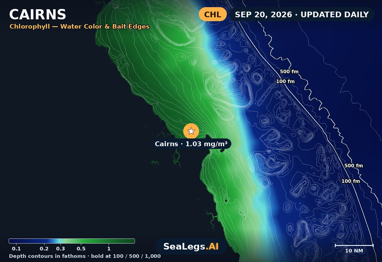 Cairns chlorophyll chart, Sep 10, 2026 — water color and bait edges