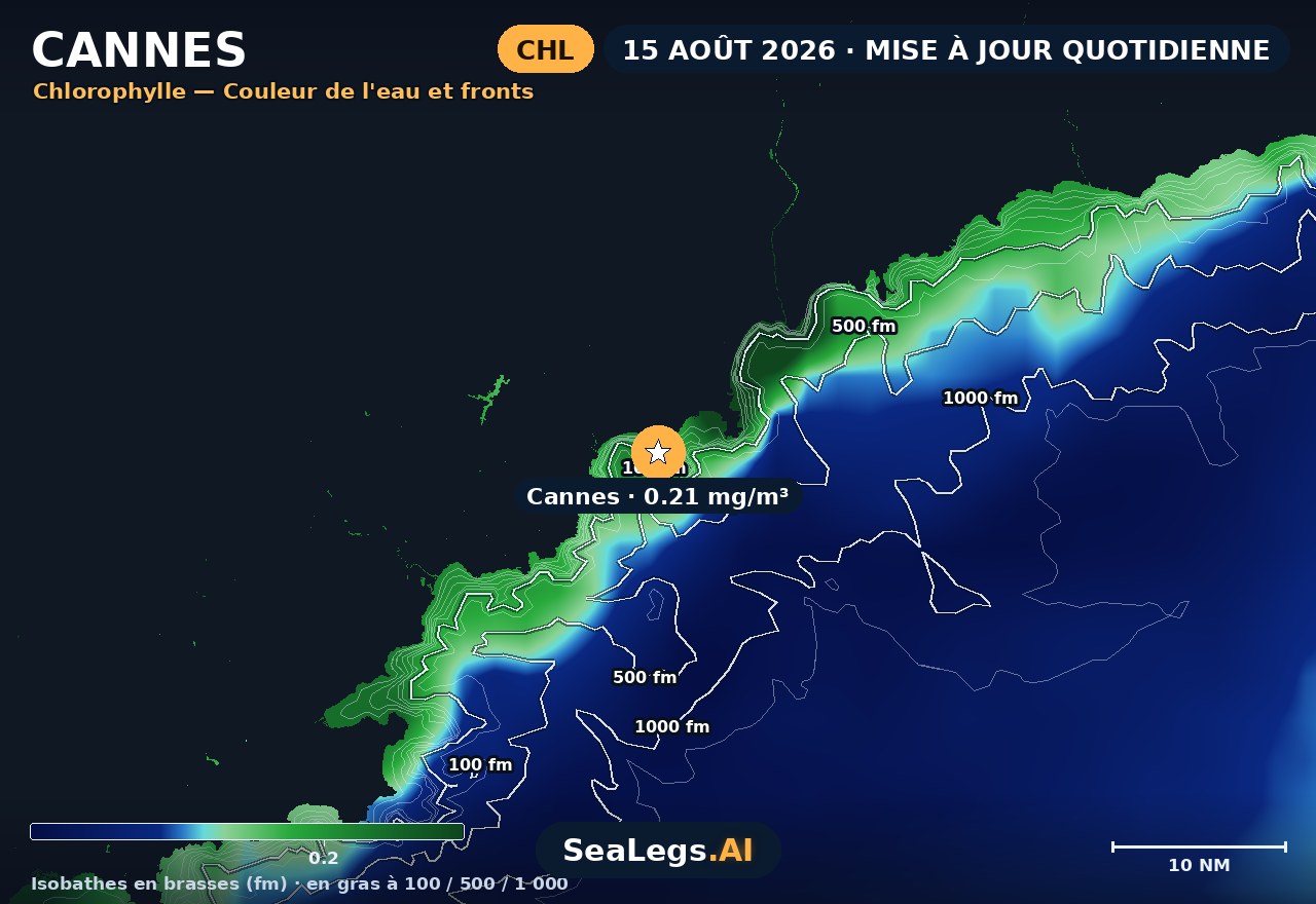 Carte de chlorophylle à Cannes, 15 août 2026 — couleur de l'eau