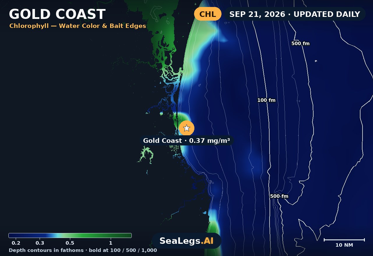 Gold Coast chlorophyll chart, Sep 10, 2026 — water color and bait edges