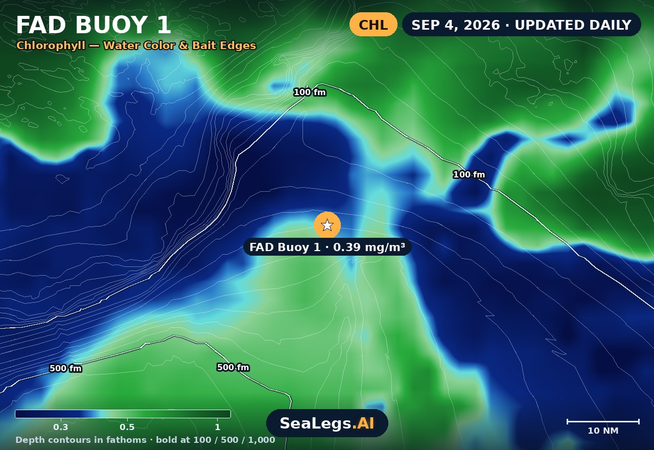 FAD Buoy 1 chlorophyll chart, Sep 4, 2026 — water color and bait edges