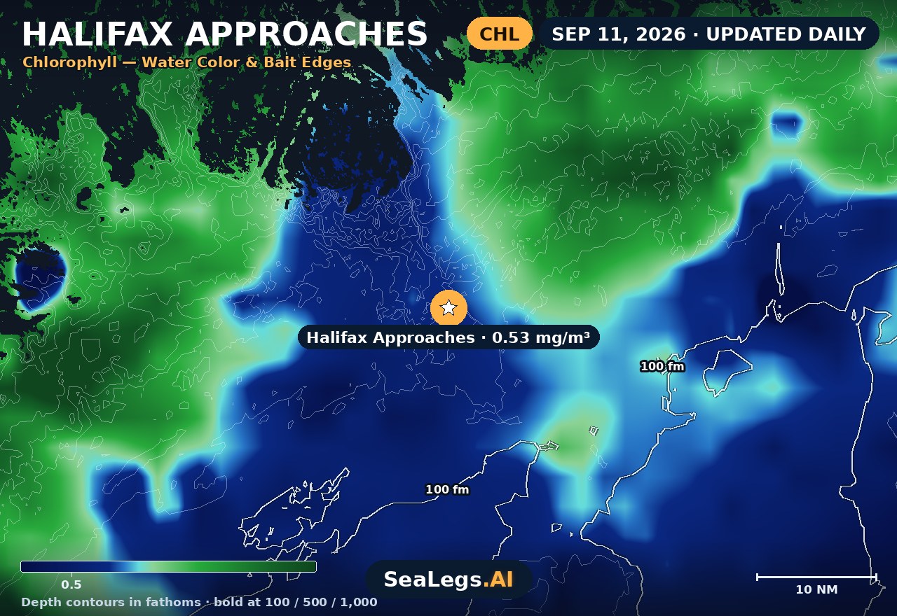 Halifax Approaches chlorophyll chart, Sep 11, 2026 — water color and bait edges