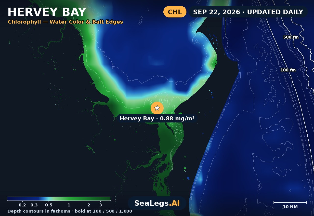 Hervey Bay chlorophyll chart, Sep 10, 2026 — water color and bait edges