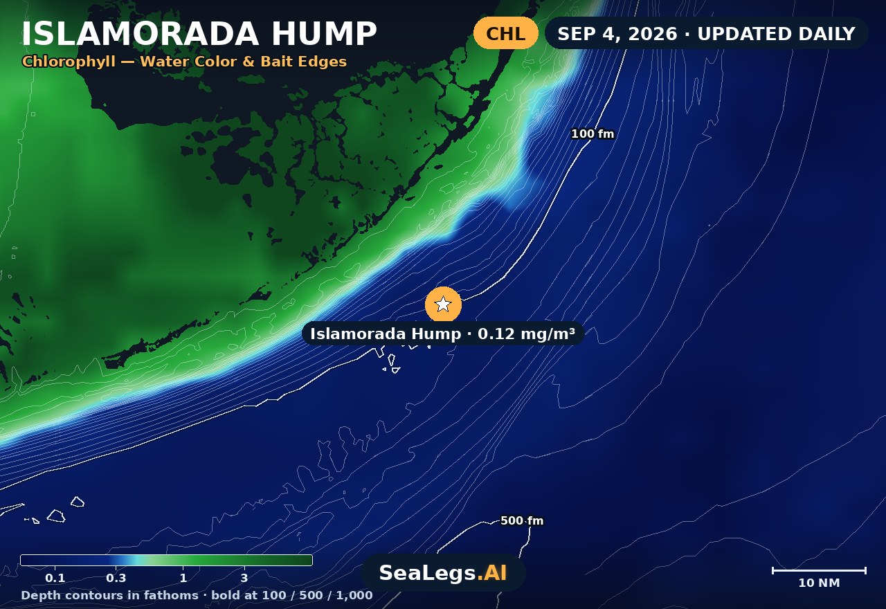 Islamorada Hump chlorophyll chart, Sep 4, 2026 — water color and bait edges