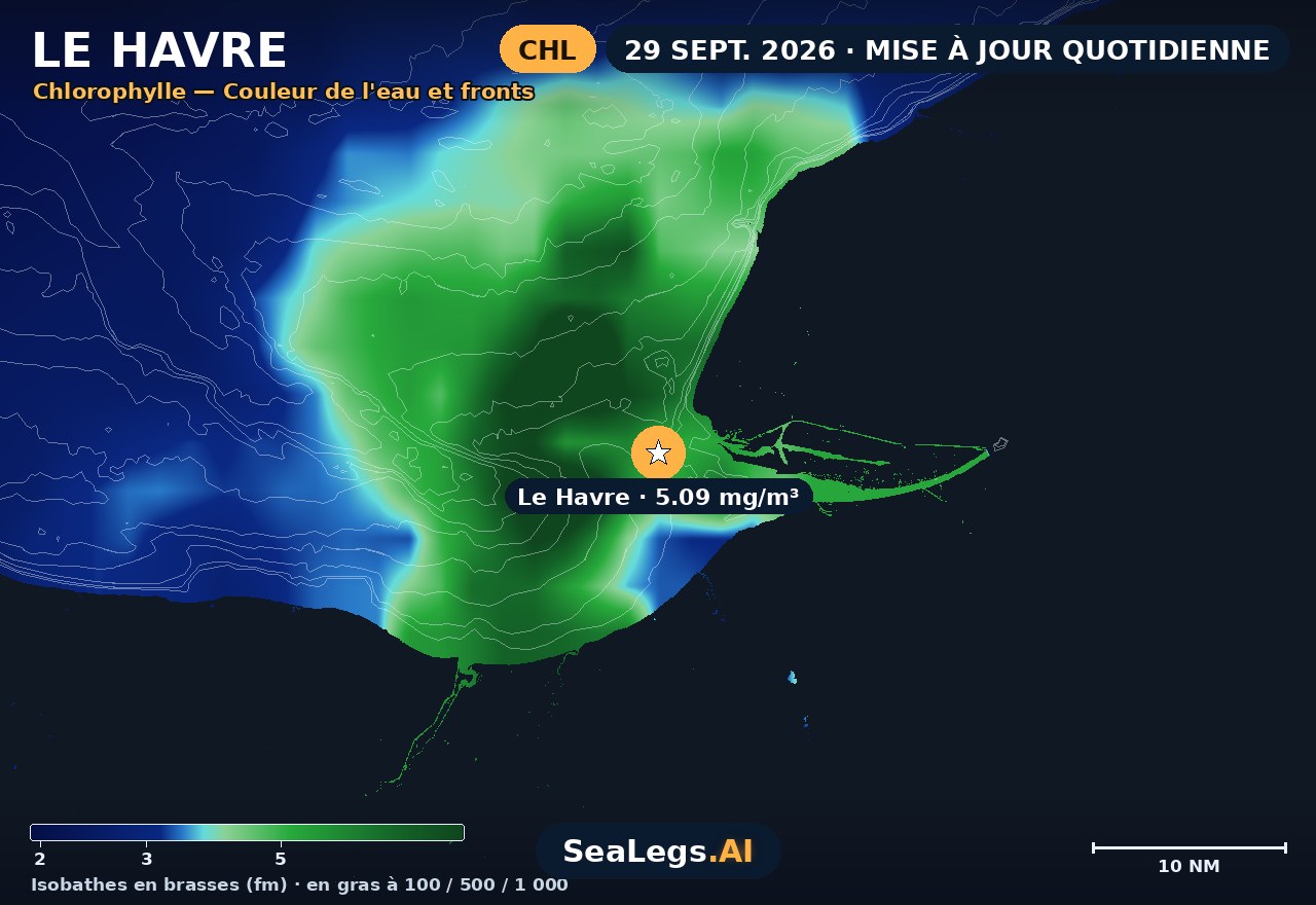 Carte de chlorophylle au Havre, 29 sept. 2026 — couleur de l'eau