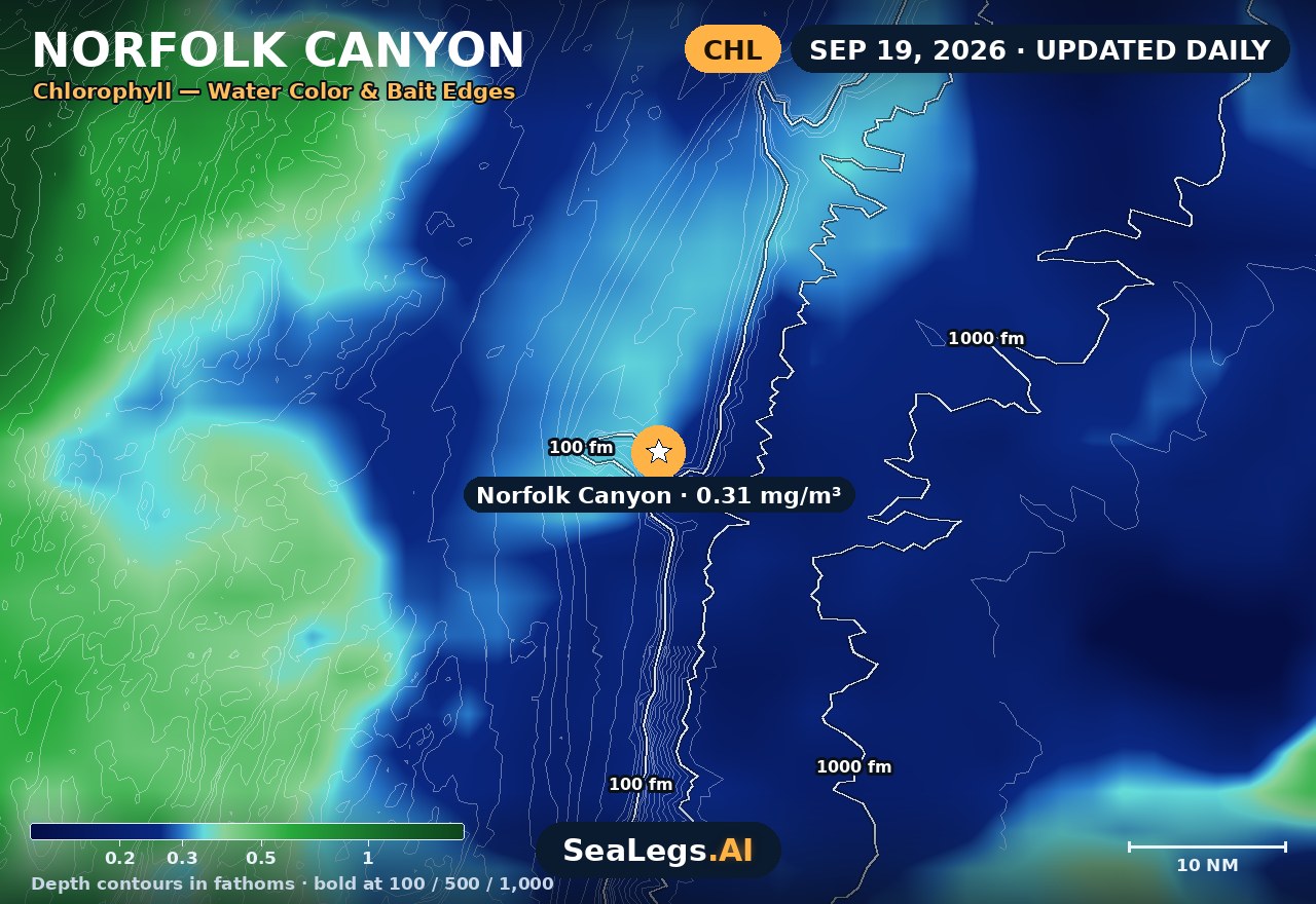 Norfolk Canyon chlorophyll chart, Sep 19, 2026 — water color and bait edges