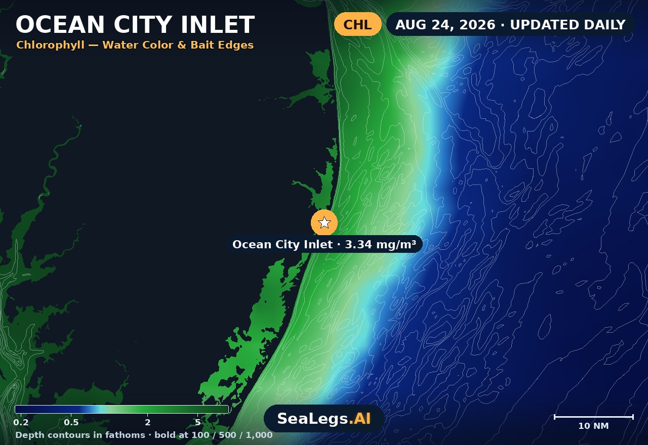 Ocean City Inlet chlorophyll chart, Aug 24, 2026 — water color and bait edges
