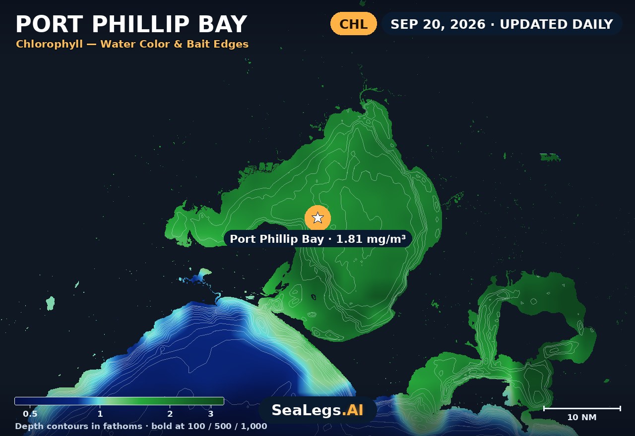 Port Phillip Bay chlorophyll chart, Sep 10, 2026 — water color and bait edges