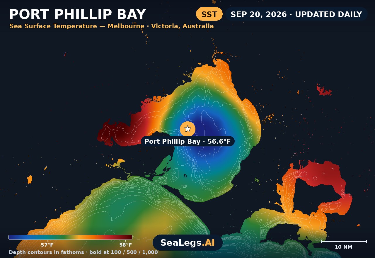 Port Phillip Bay sea surface temperature chart, Sep 10, 2026 — 55.5°F at the spot with labeled depth contours