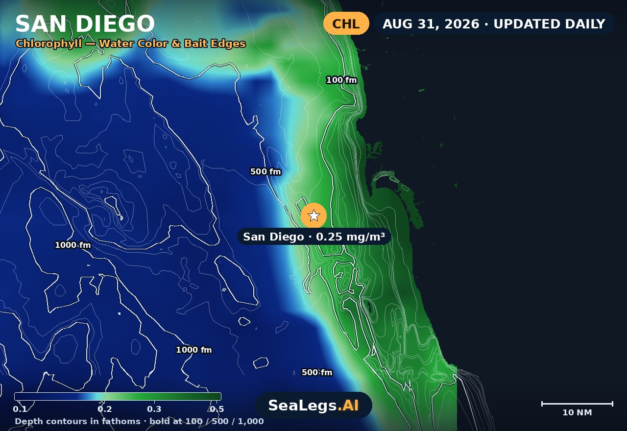 San Diego chlorophyll chart, Aug 31, 2026 — water color and bait edges
