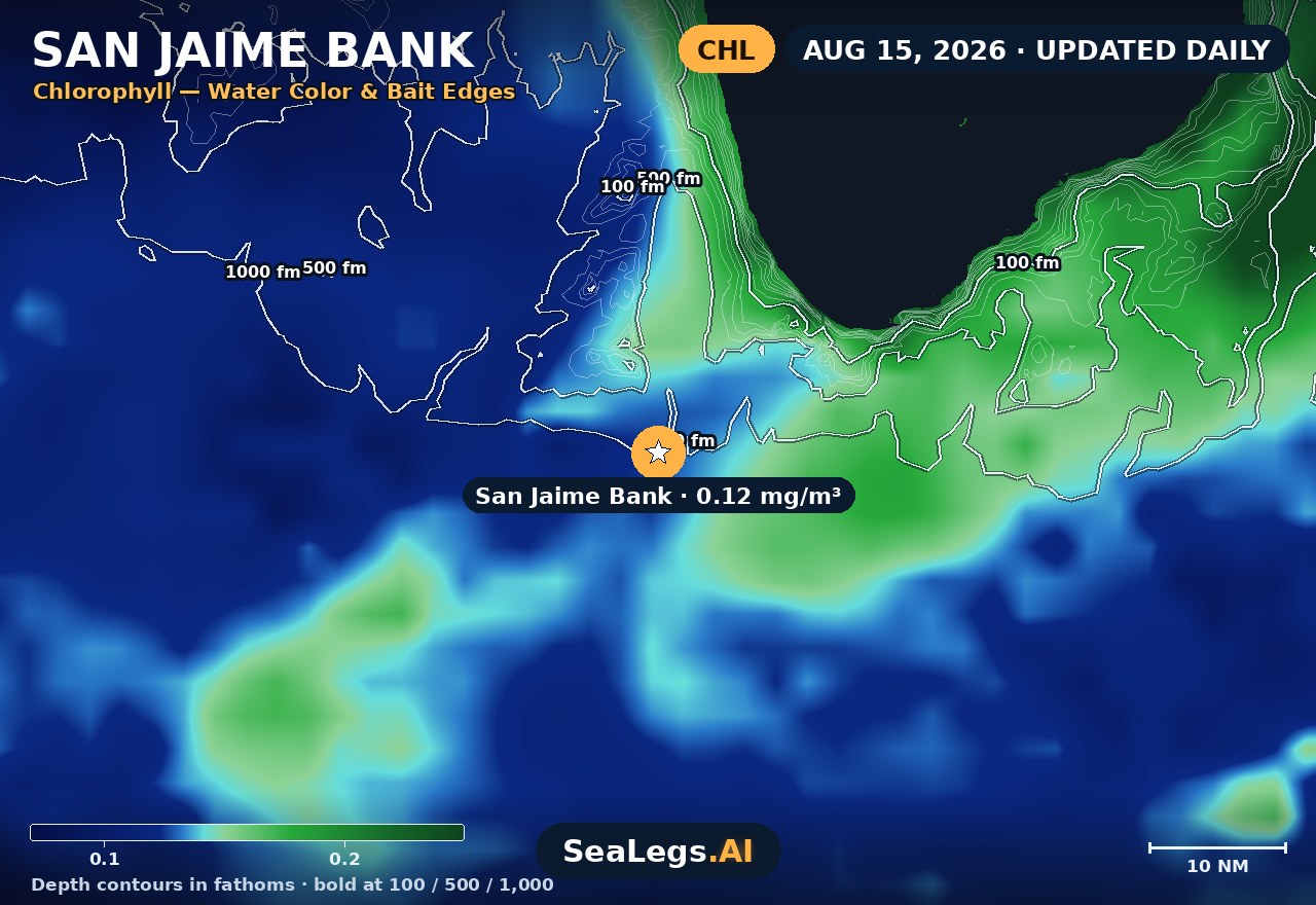 San Jaime Bank chlorophyll chart, Aug 15, 2026 — water color and bait edges