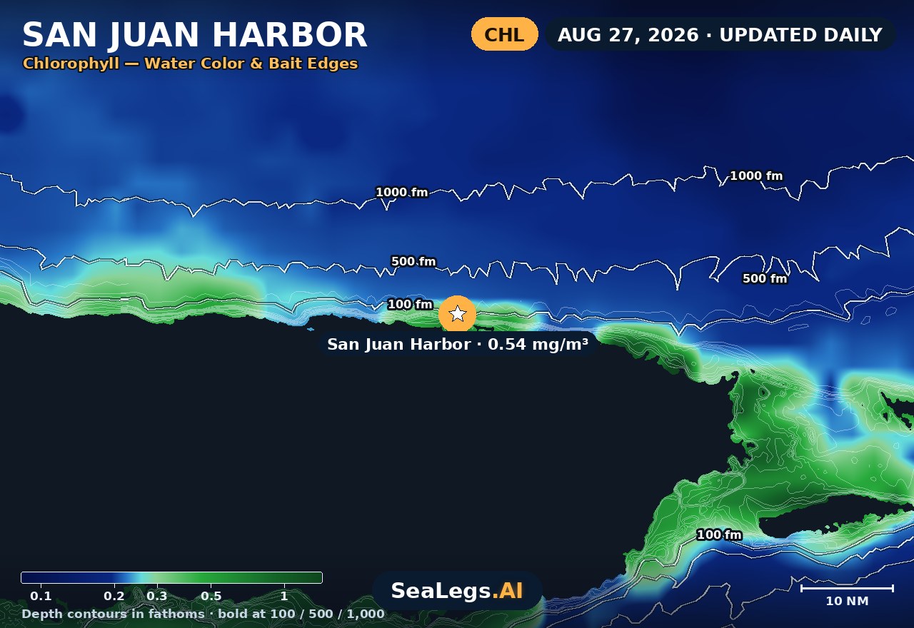 San Juan Harbor chlorophyll chart, Aug 27, 2026 — water color and bait edges