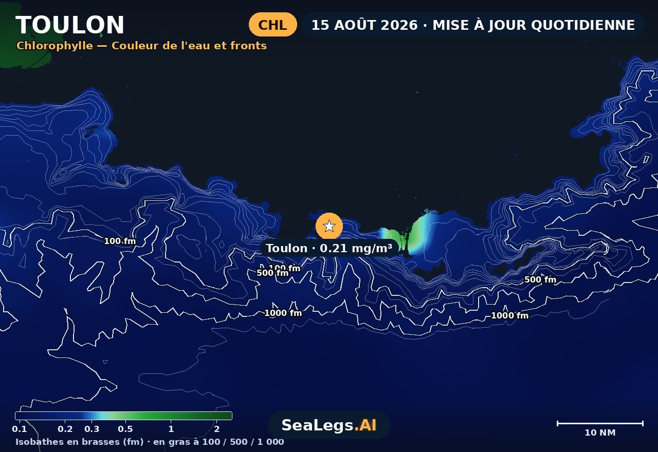 Carte de chlorophylle à Toulon, 15 août 2026 — couleur de l'eau