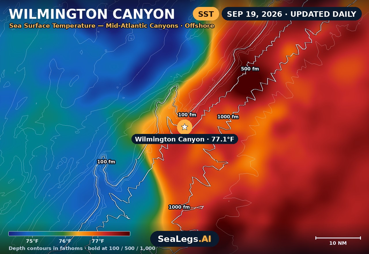 Wilmington Canyon sea surface temperature chart, Sep 19, 2026 — 77.1°F at the spot with labeled depth contours