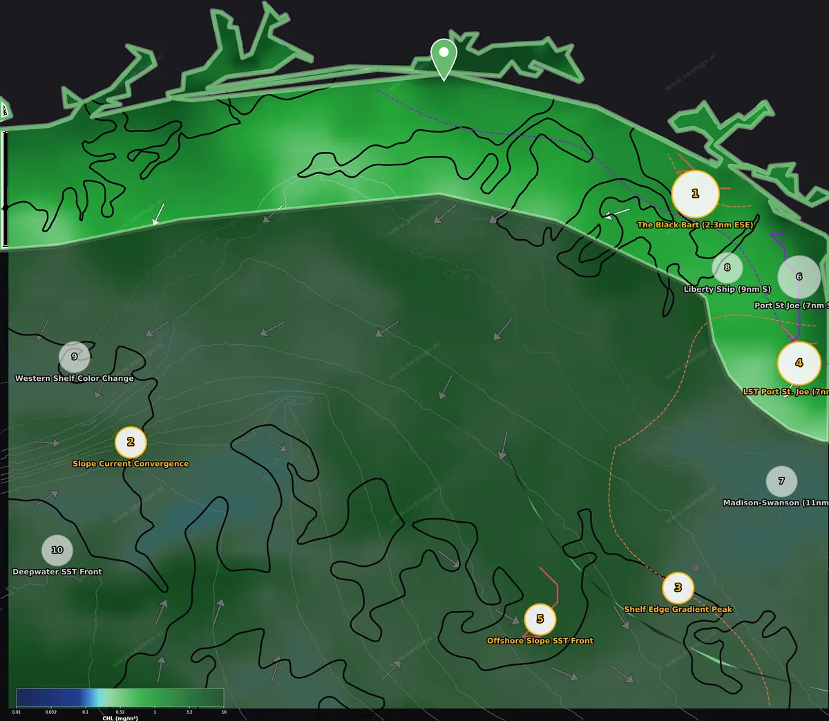 Chlorophyll map, inshore waters off Destin Pass