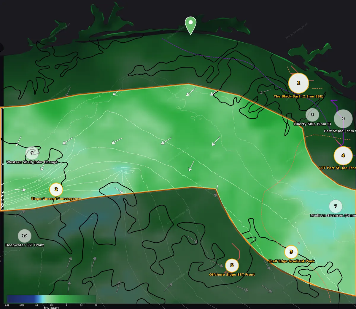 Chlorophyll map, midshore waters off Destin Pass