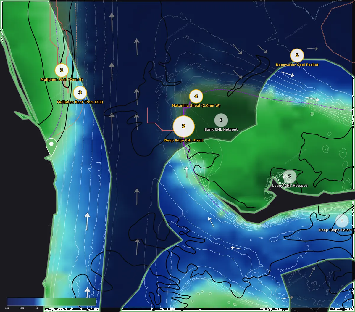 Chlorophyll map, inshore waters off Jupiter Inlet