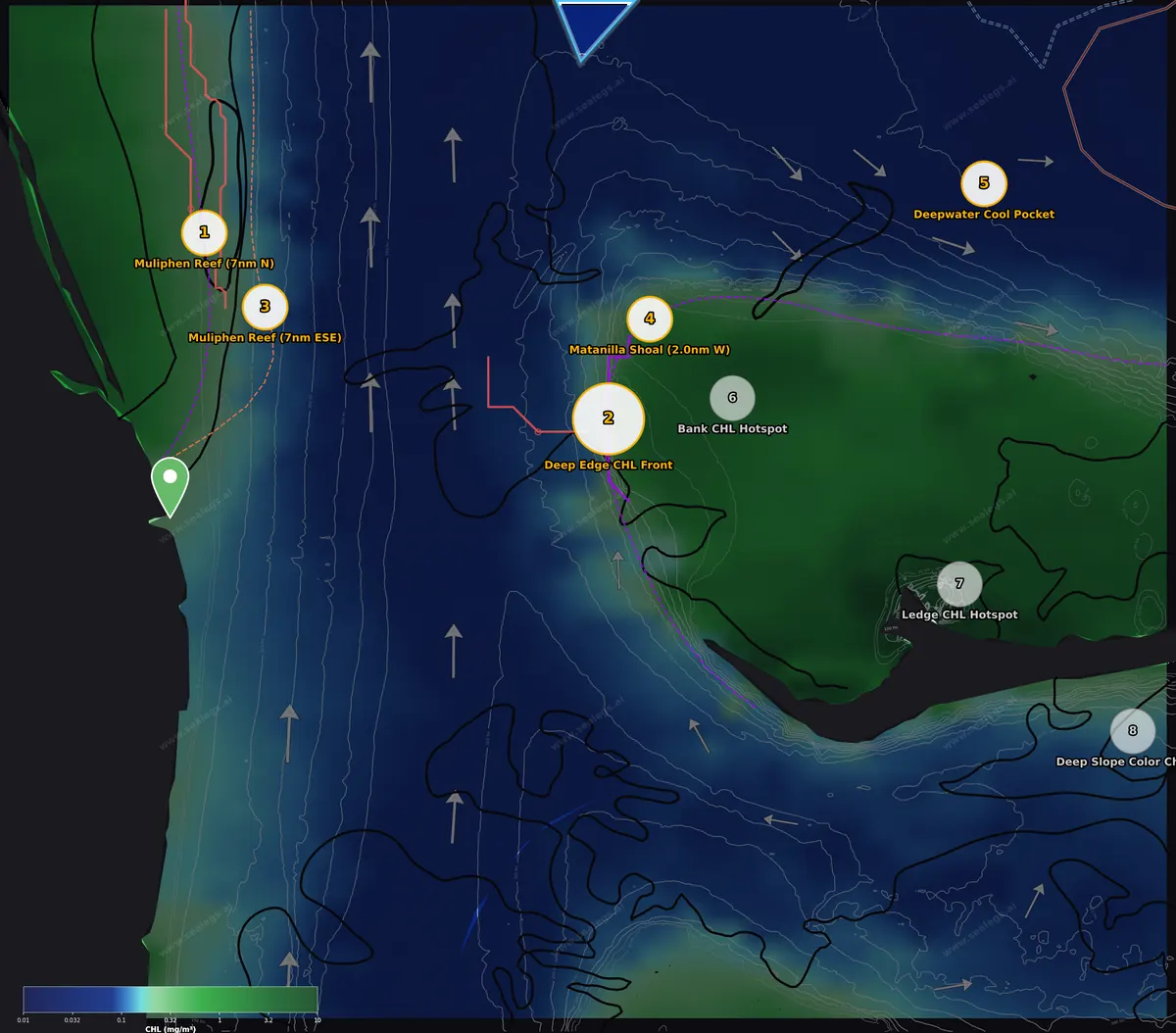 Chlorophyll map, offshore waters off Jupiter Inlet