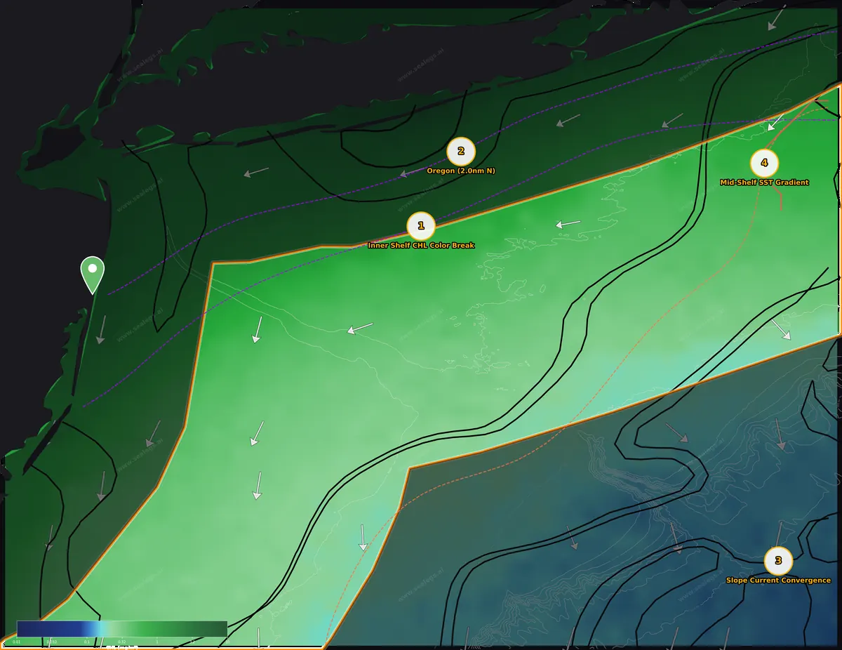 Chlorophyll map, midshore waters off Manasquan Inlet