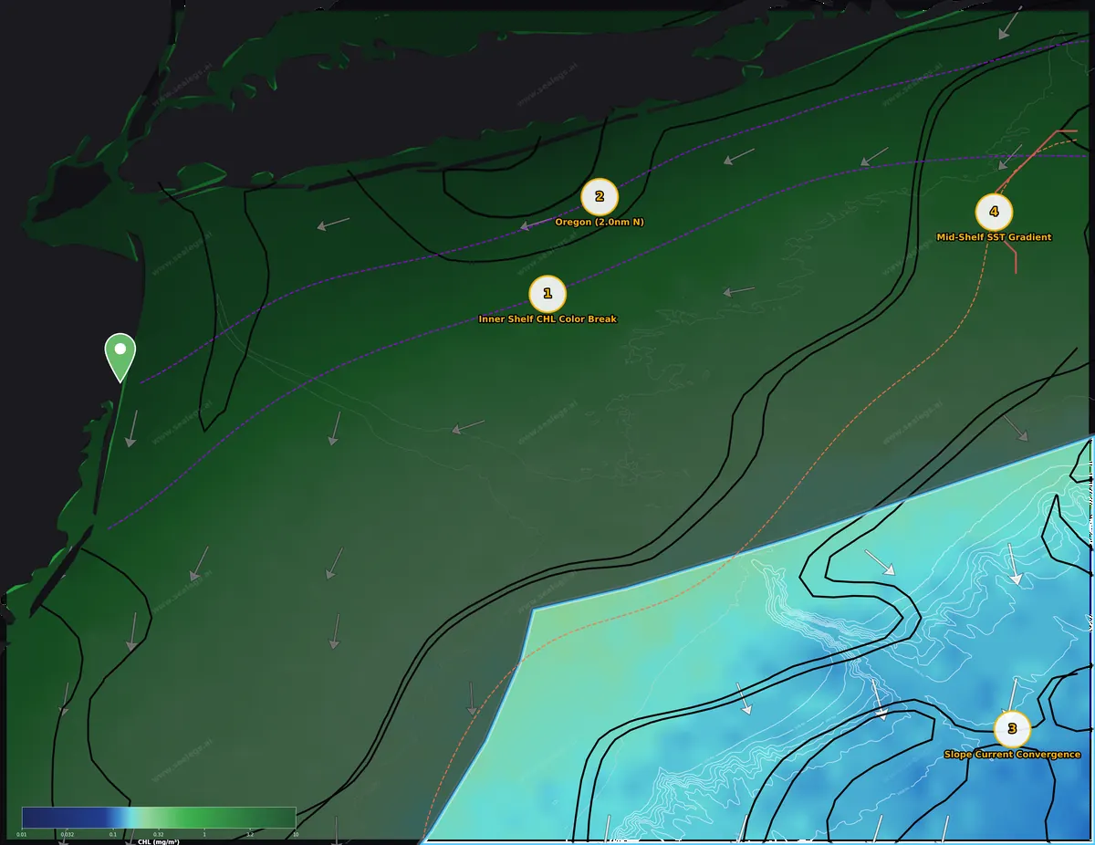 Chlorophyll map, offshore waters off Manasquan Inlet