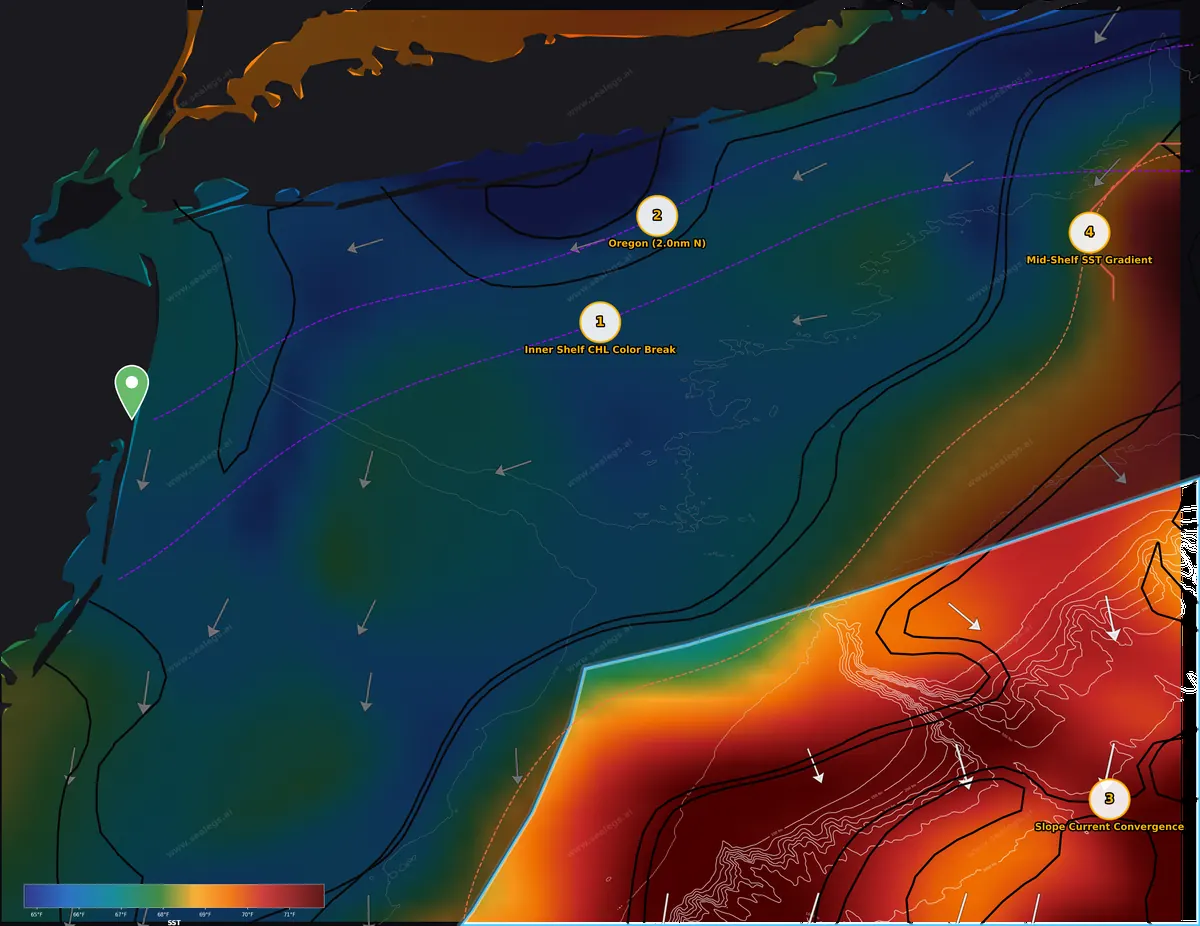 Sea surface temperature map, offshore waters off Manasquan Inlet