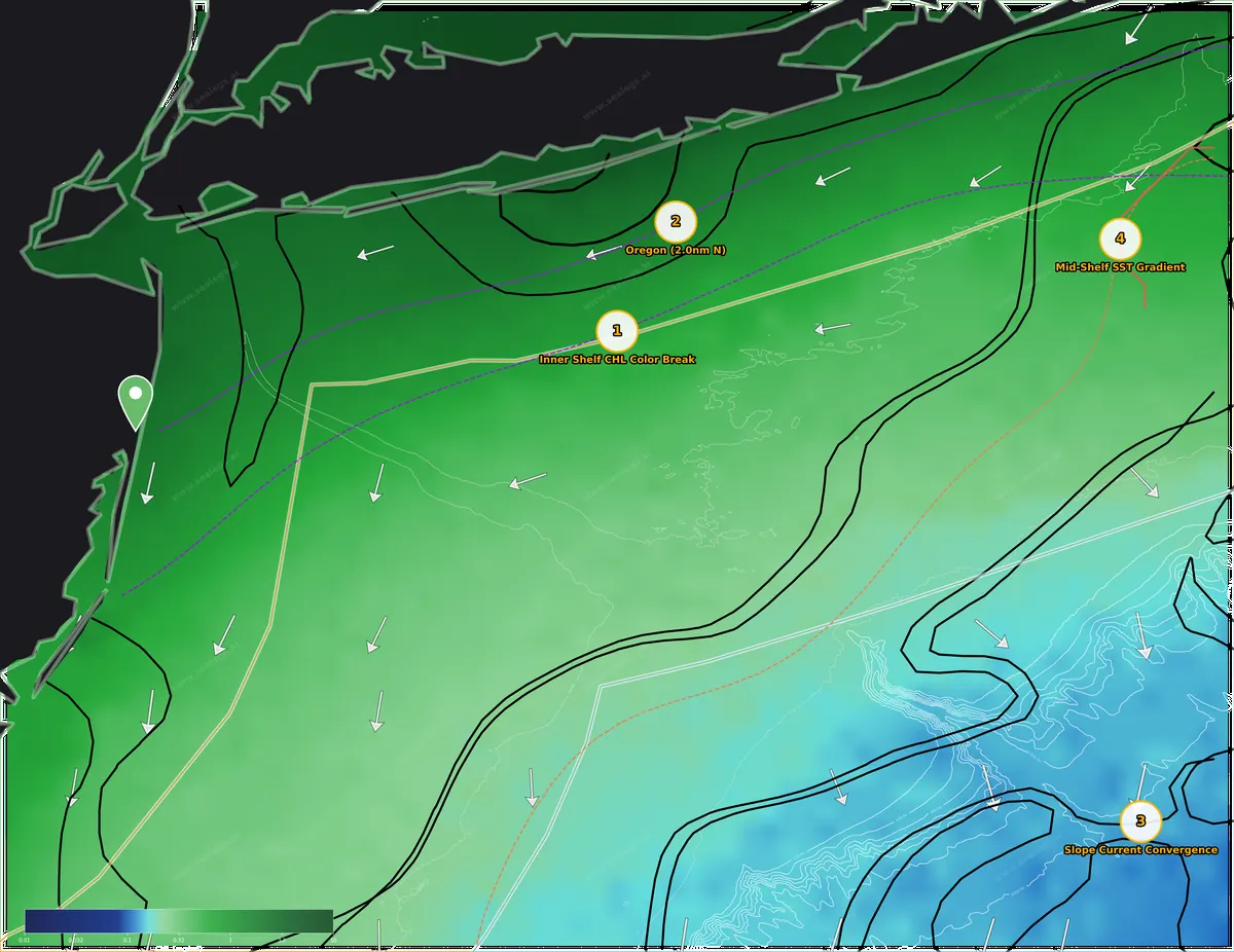 New Jersey chlorophyll map: green-to-blue color edges and this week's ranked spots out of Manasquan Inlet