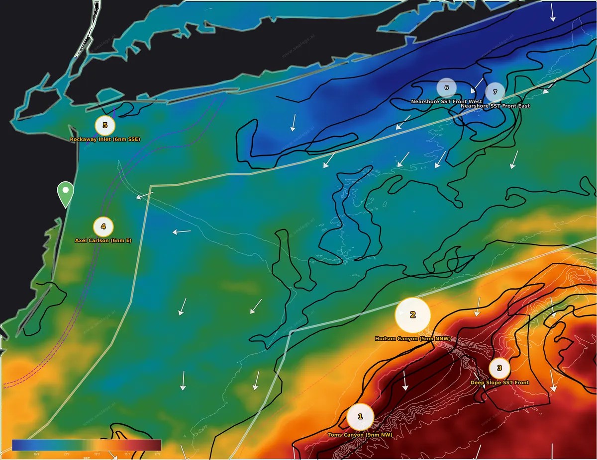 Sea surface temperature map, New Jersey