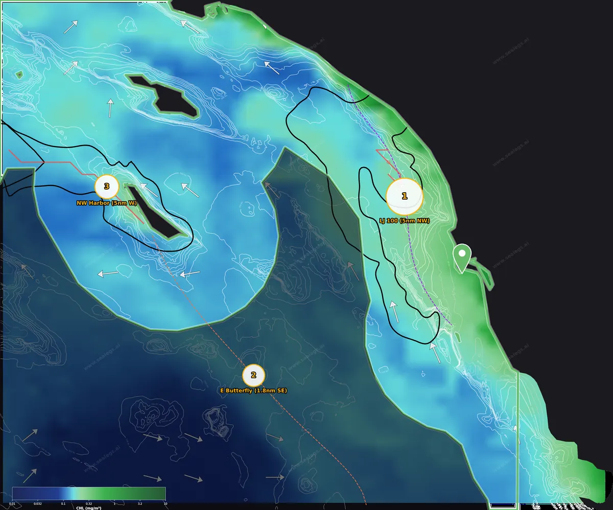 Chlorophyll map, inshore waters off San Diego Bay Inlet