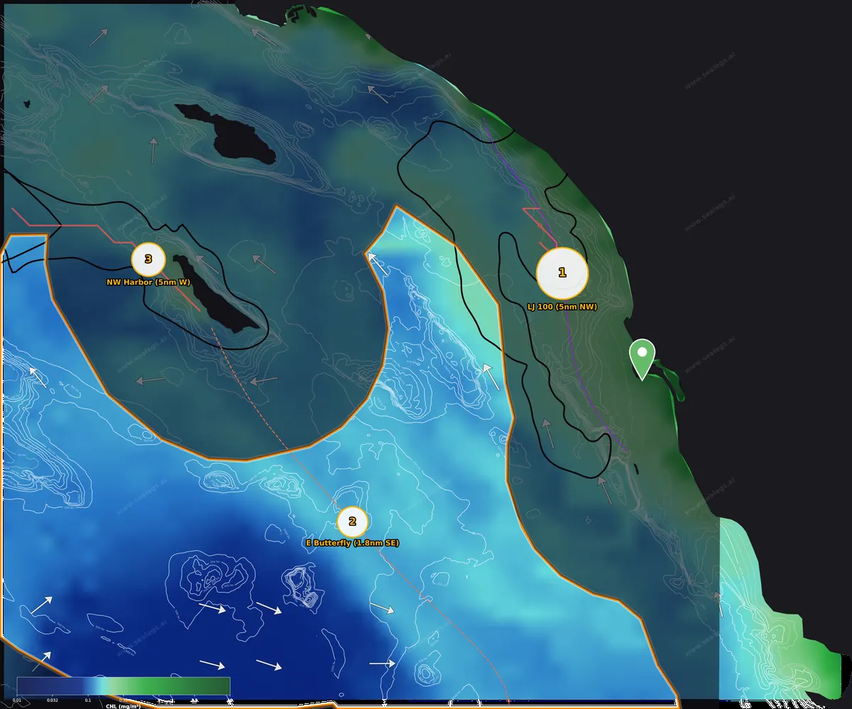 Chlorophyll map, midshore waters off San Diego Bay Inlet